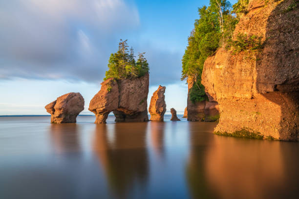 new brunswick counselling