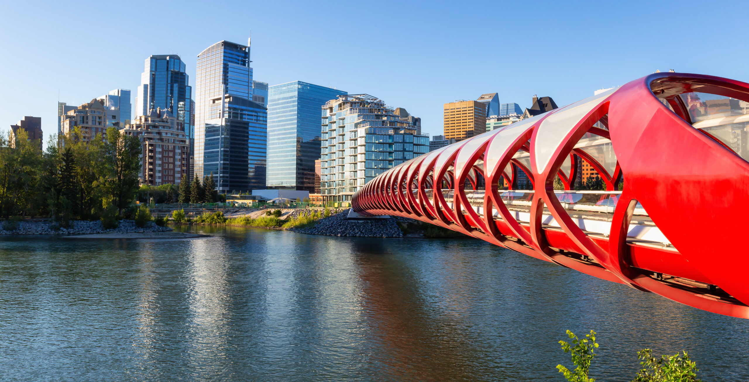 arabic therapy calgary